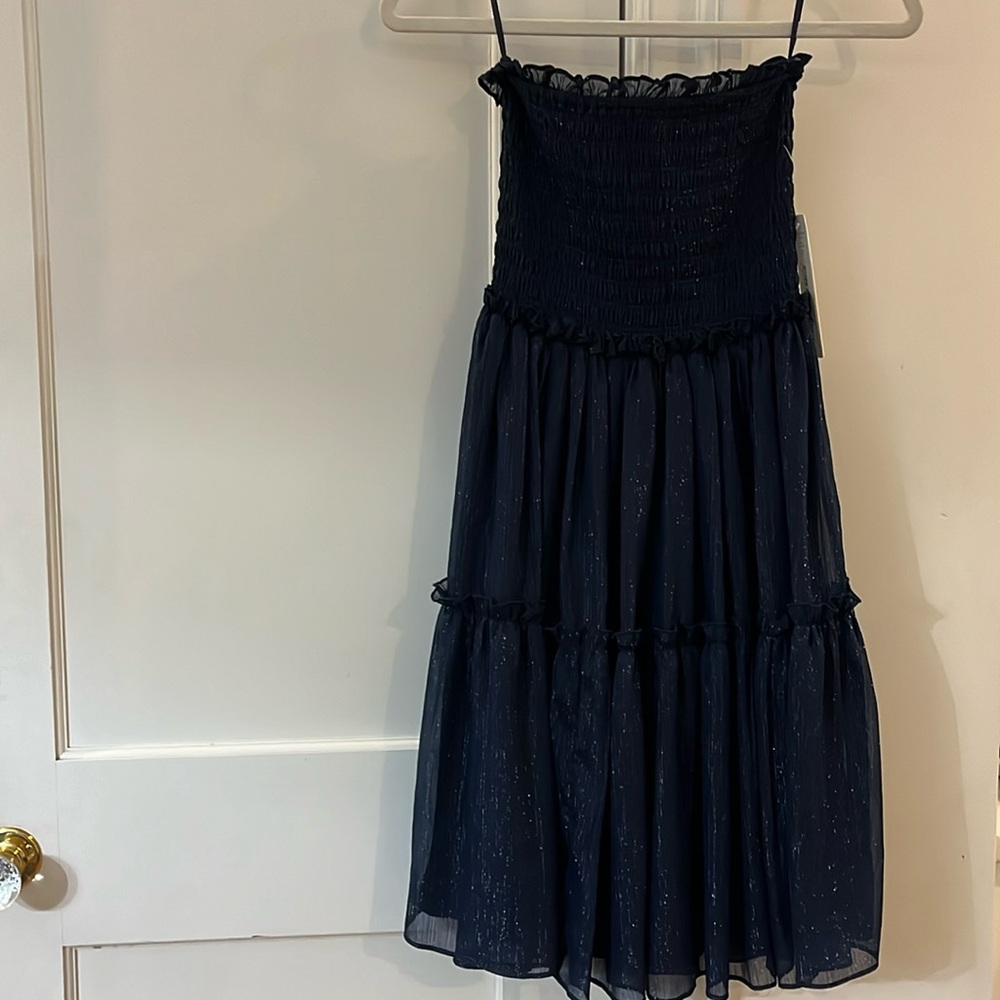 NWT beautiful strapless sheer dress fully lined.